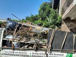 Best Attic Cleanout  in Mokena, IL