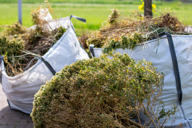 Moving and Downsizing Cleanouts in Mokena, IL